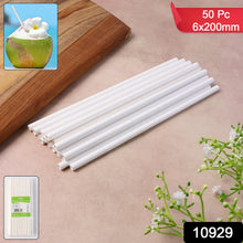Paper Straws